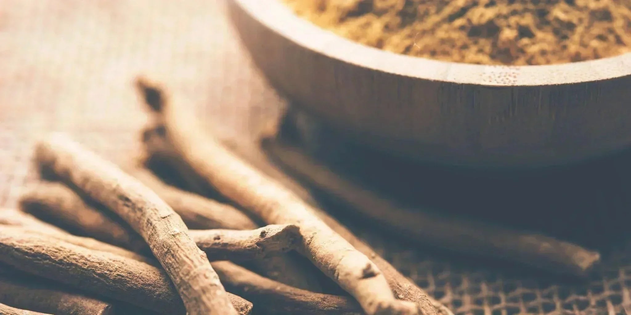 Ashwagandha: Eine faszinierende Pflanze aus der traditionellen indischen Lehre - Kurkraft