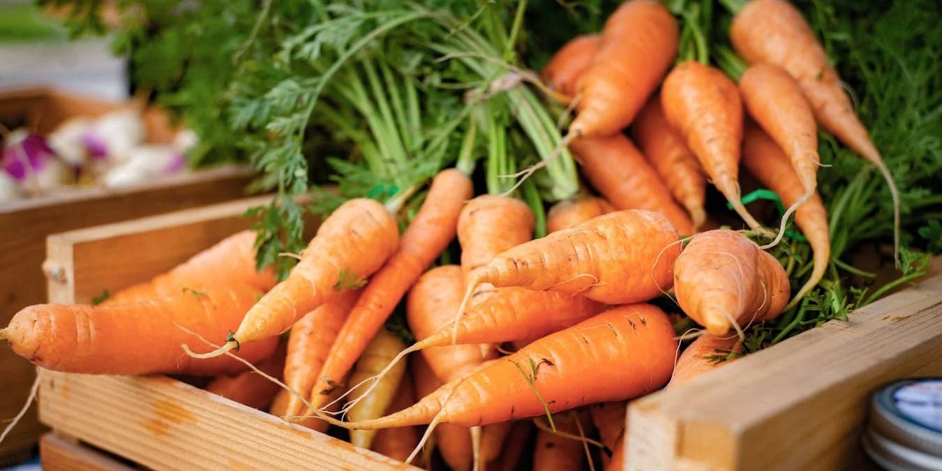 Der Einfluss von Vitamin A auf das Immunsystem. - Kurkraft