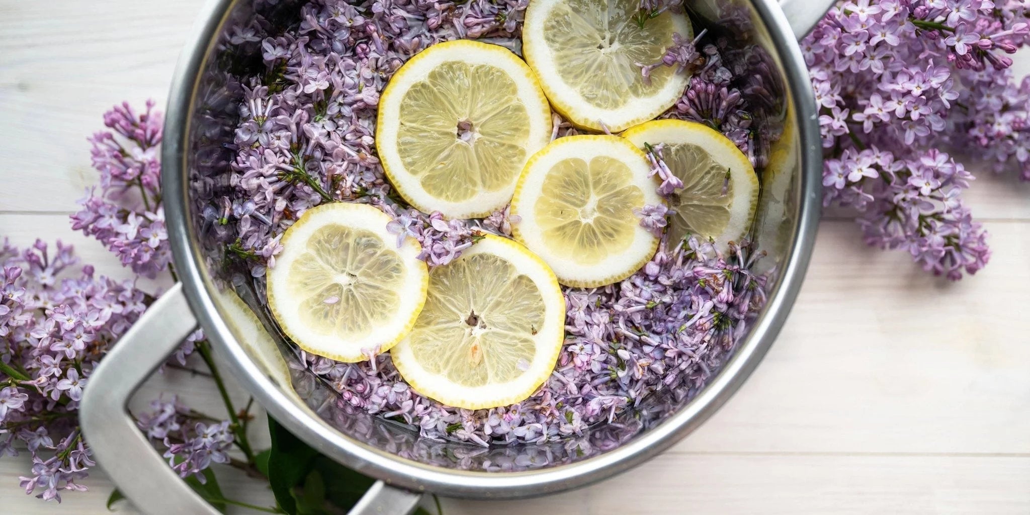 Fliedersirup selbst herstellen – so einfach geht’s. - Kurkraft