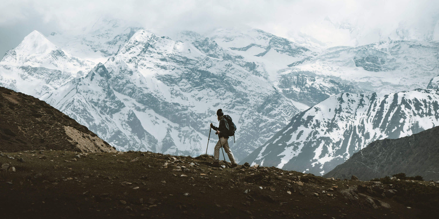 Shilajit – Das schwarze Gold aus dem Himalaya. - Kurkraft