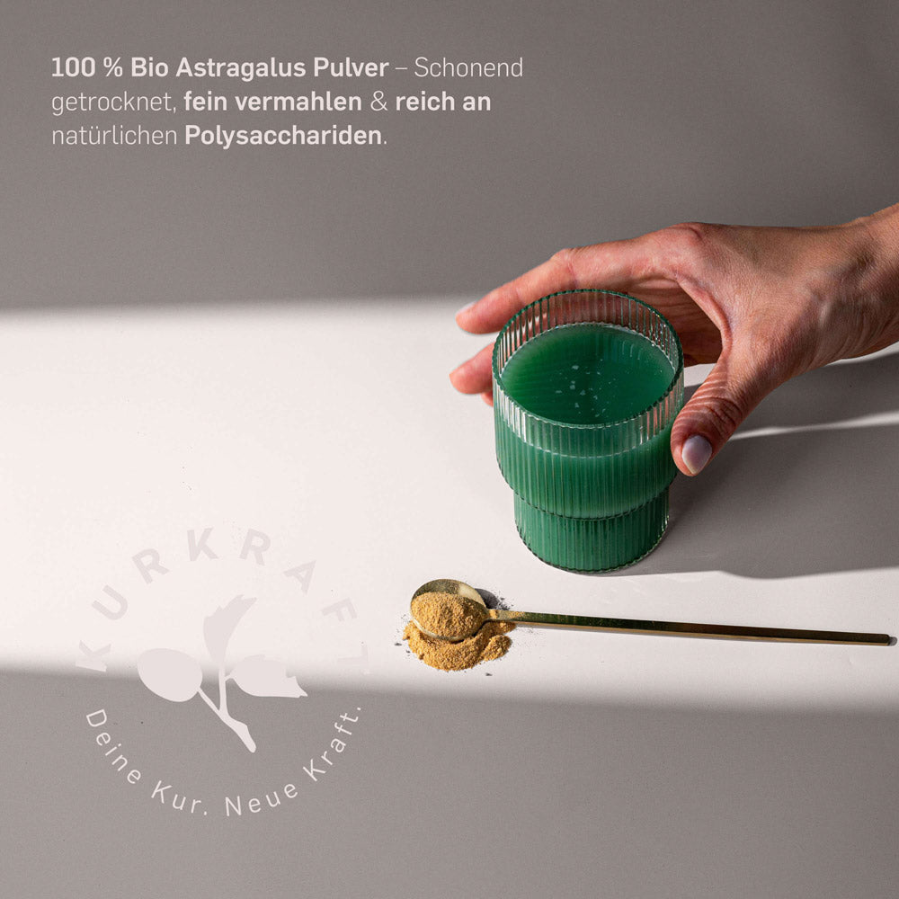 BIO ASTRAGALUSWURZEL PULVER - Kurkraft - BIO ASTRAGALUSWURZEL PULVER