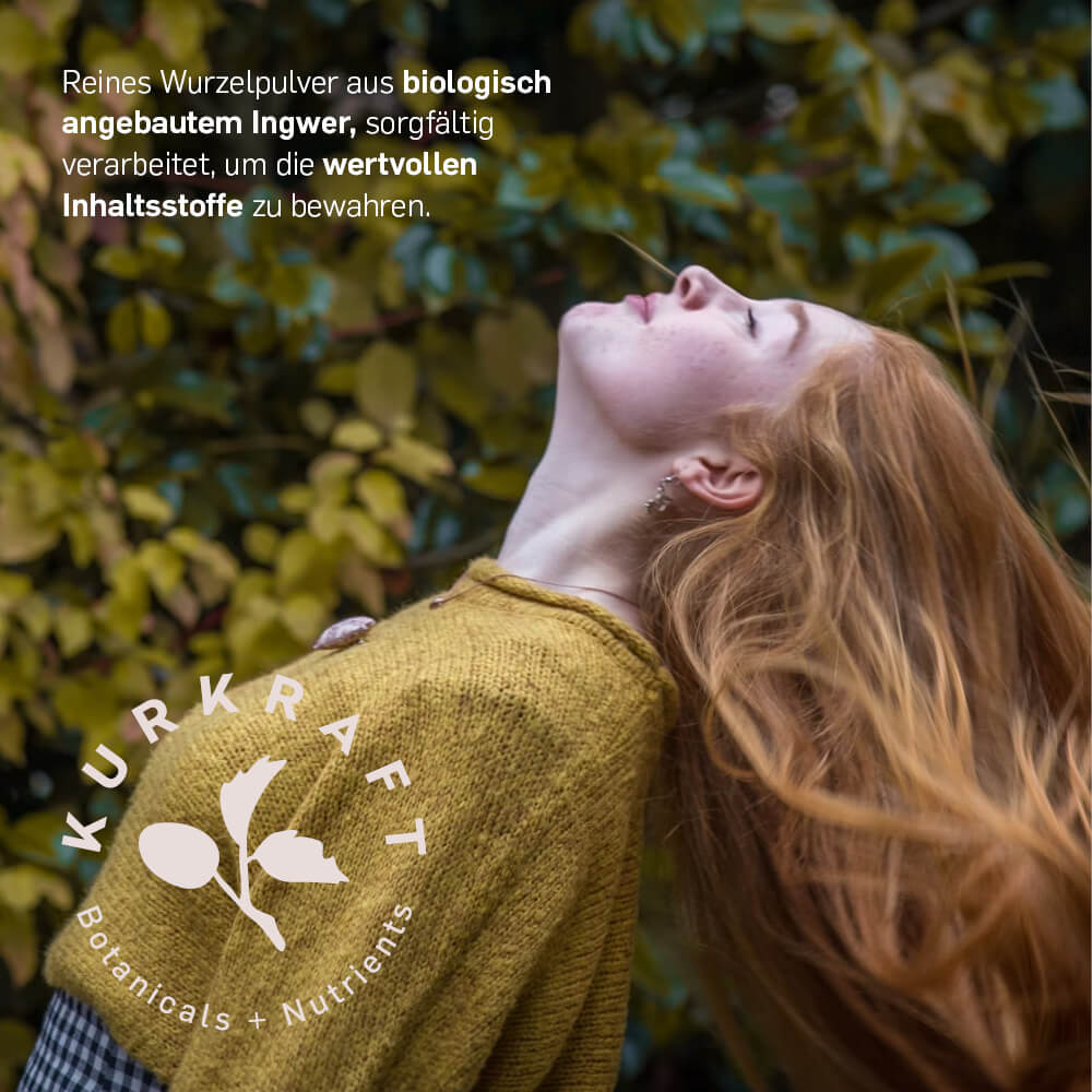 BIO INGWER - Kurkraft - BIO INGWER
