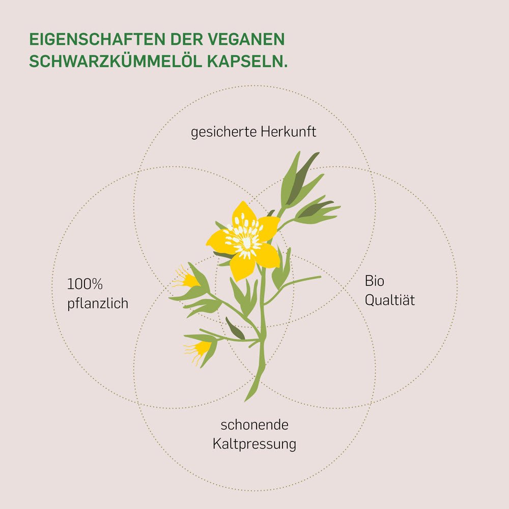 Eigenschaften Kurkraft Bio Schwarzkümmelöl Kapseln – kaltgepresst, Bio, Thymoquinon, vegan