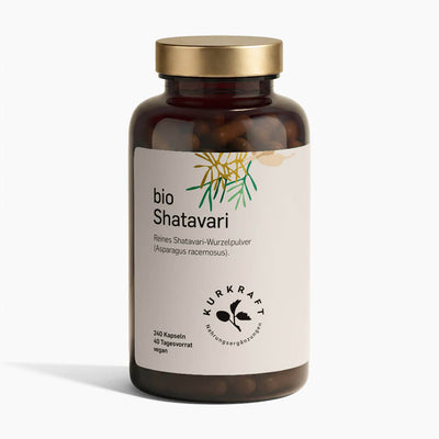 Kurkraft Bio Shatavari Kapseln 240 Stück – Asparagus racemosus Wurzelpulver aus Wildsammlung, vegan