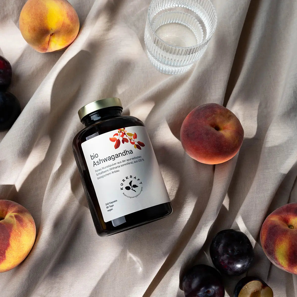 Ashwagandha-Pflanze mit Wurzel – Withania somnifera aus indischer Wildsammlung