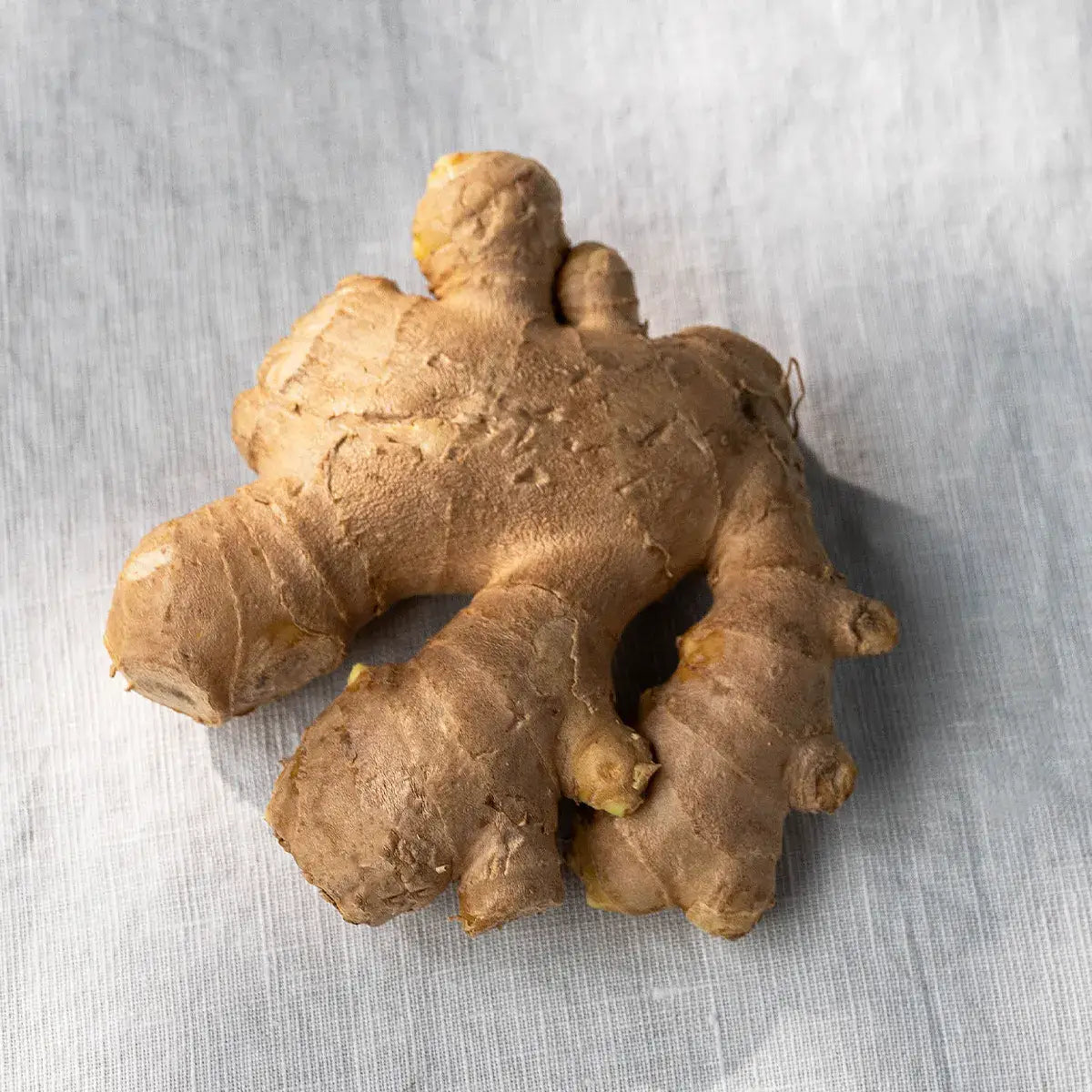 Goldenes, fein vermahlenes Bio-Ingwer-Wurzelpulver aus Peru neben der getrockneten Ingwerwurzel