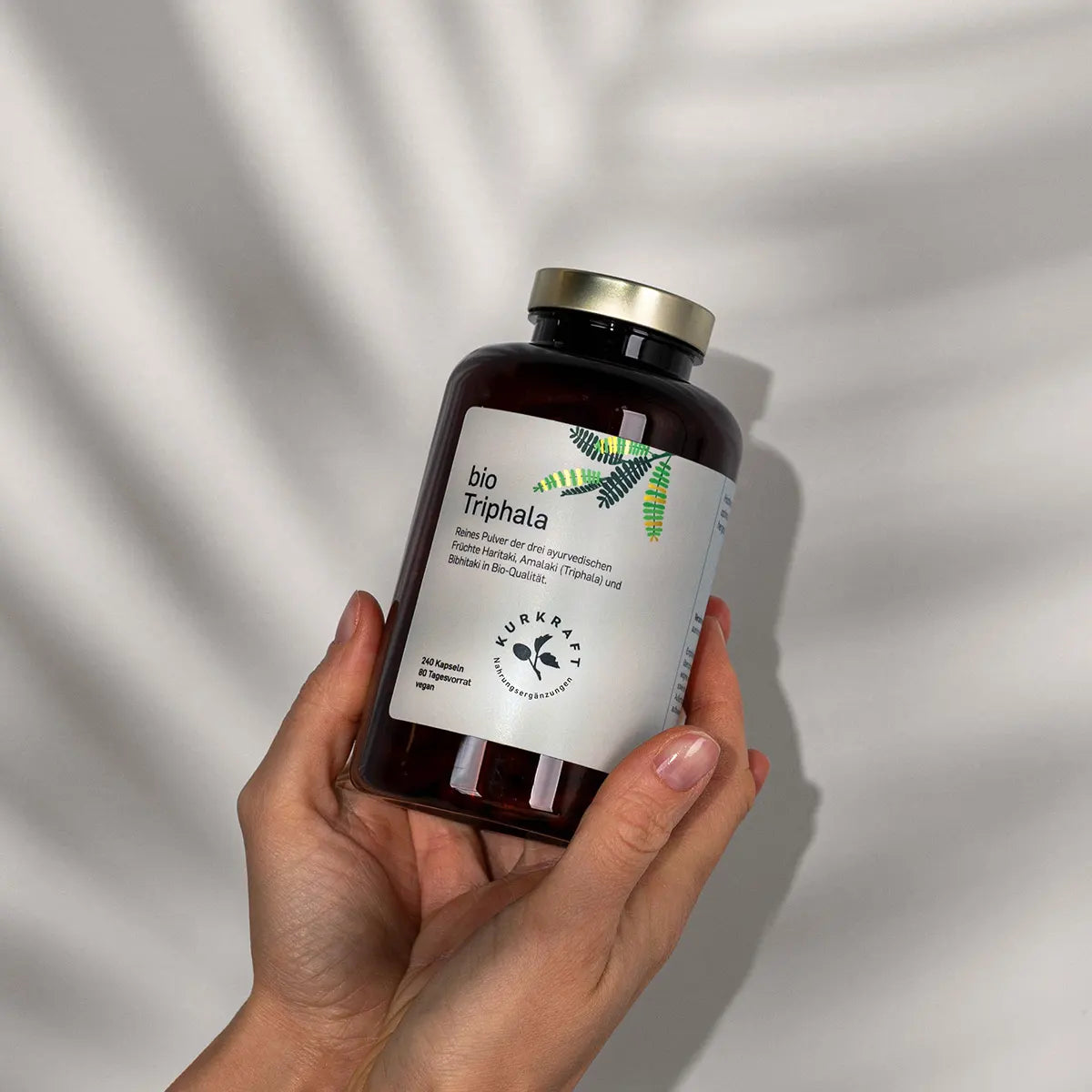 Drei getrocknete Triphala-Früchte – Amalaki, Haritaki und Bibhitaki – neben dem vermahlenen Pulver
