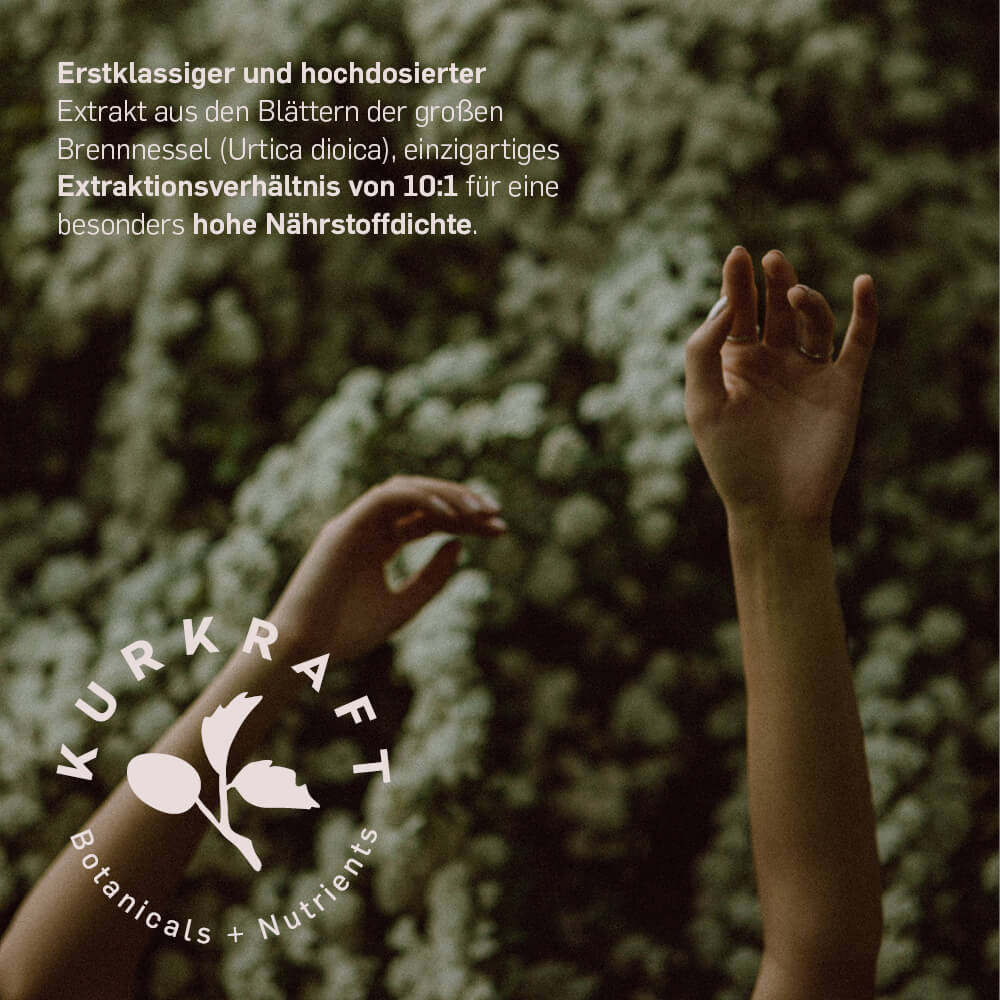 BRENNNESSEL - Kurkraft - BRENNNESSEL