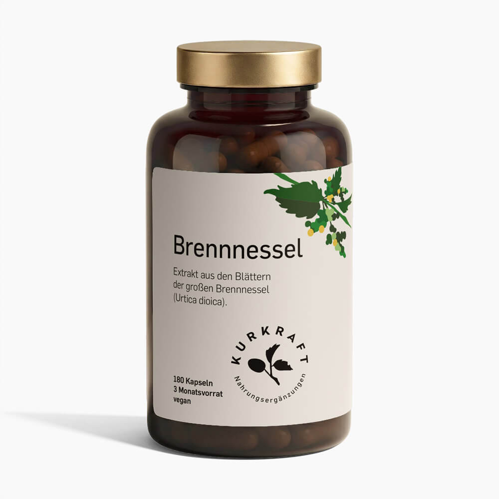 BRENNNESSEL - Kurkraft - Brennnessel Kapseln – Frontansicht der Verpackung von Kurkraft