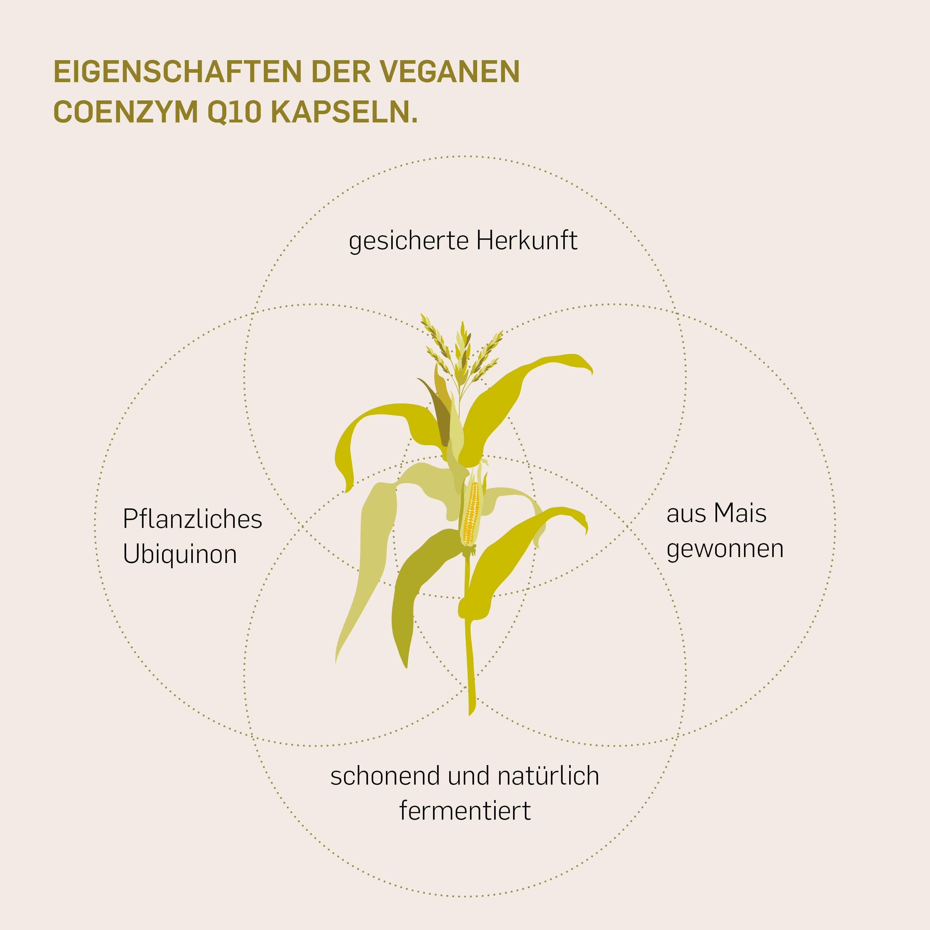 Eigenschaften Kurkraft Coenzym Q10 – 200 mg Ubiquinon, fermentiert, vegan, laborgeprüft