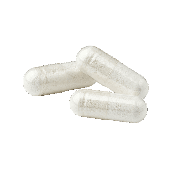 3 Kapseln Sango Koralle