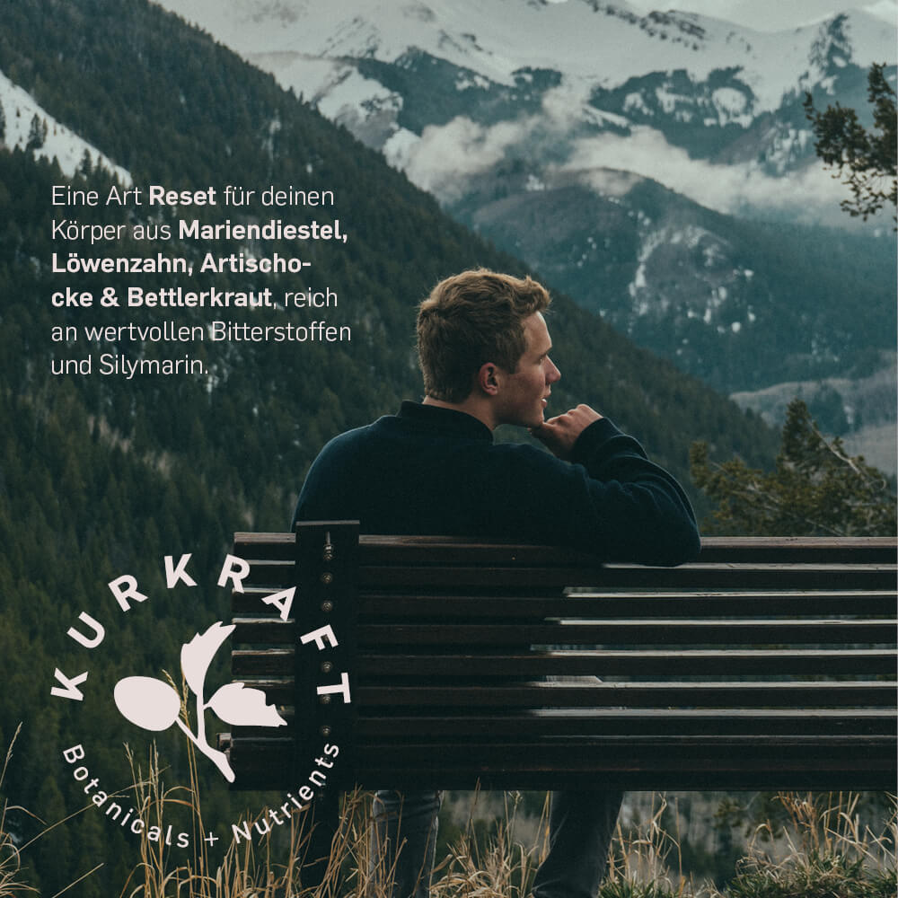 MARIENDISTEL KOMPLEX - Kurkraft - MARIENDISTEL KOMPLEX