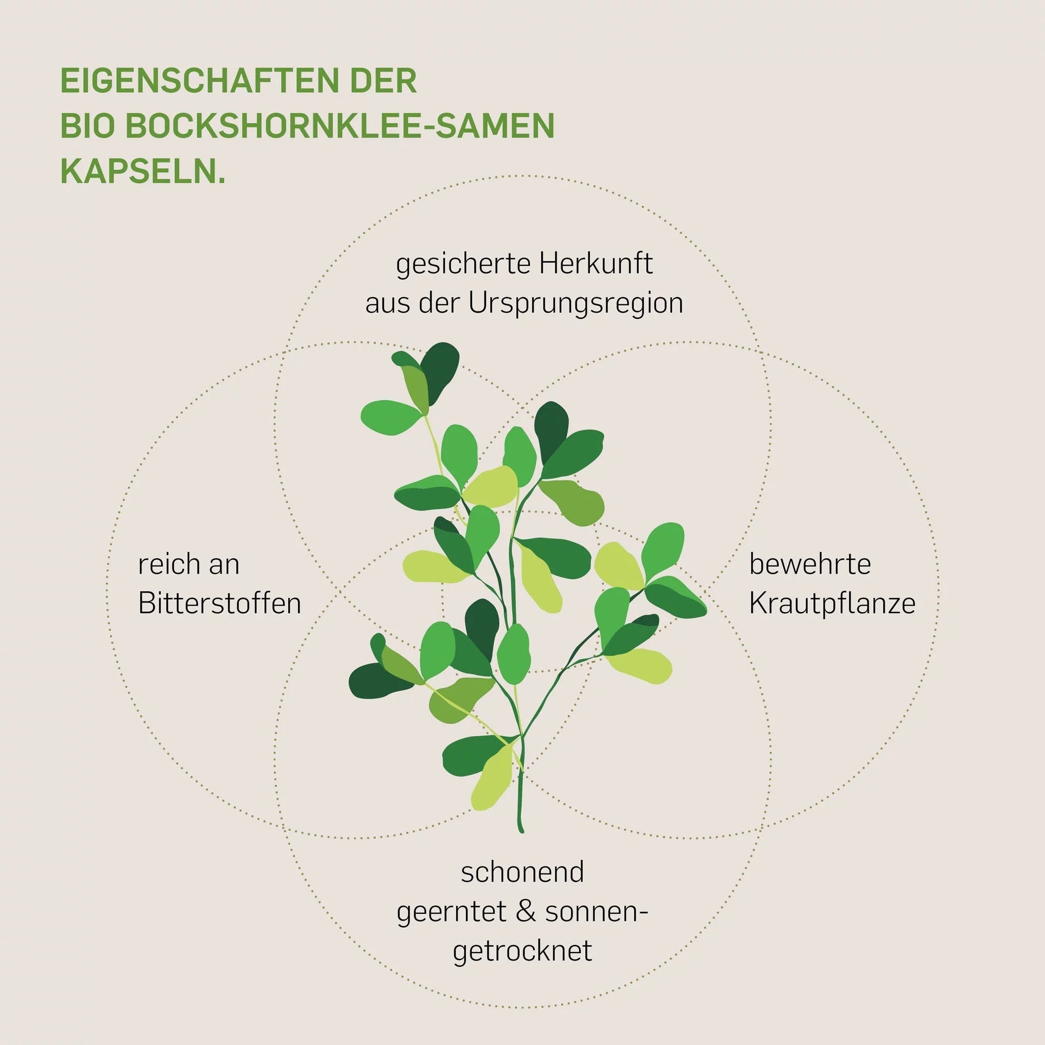 BIO BOCKSHORNKLEE - Kurkraft - BIO BOCKSHORNKLEE - Kurkraft