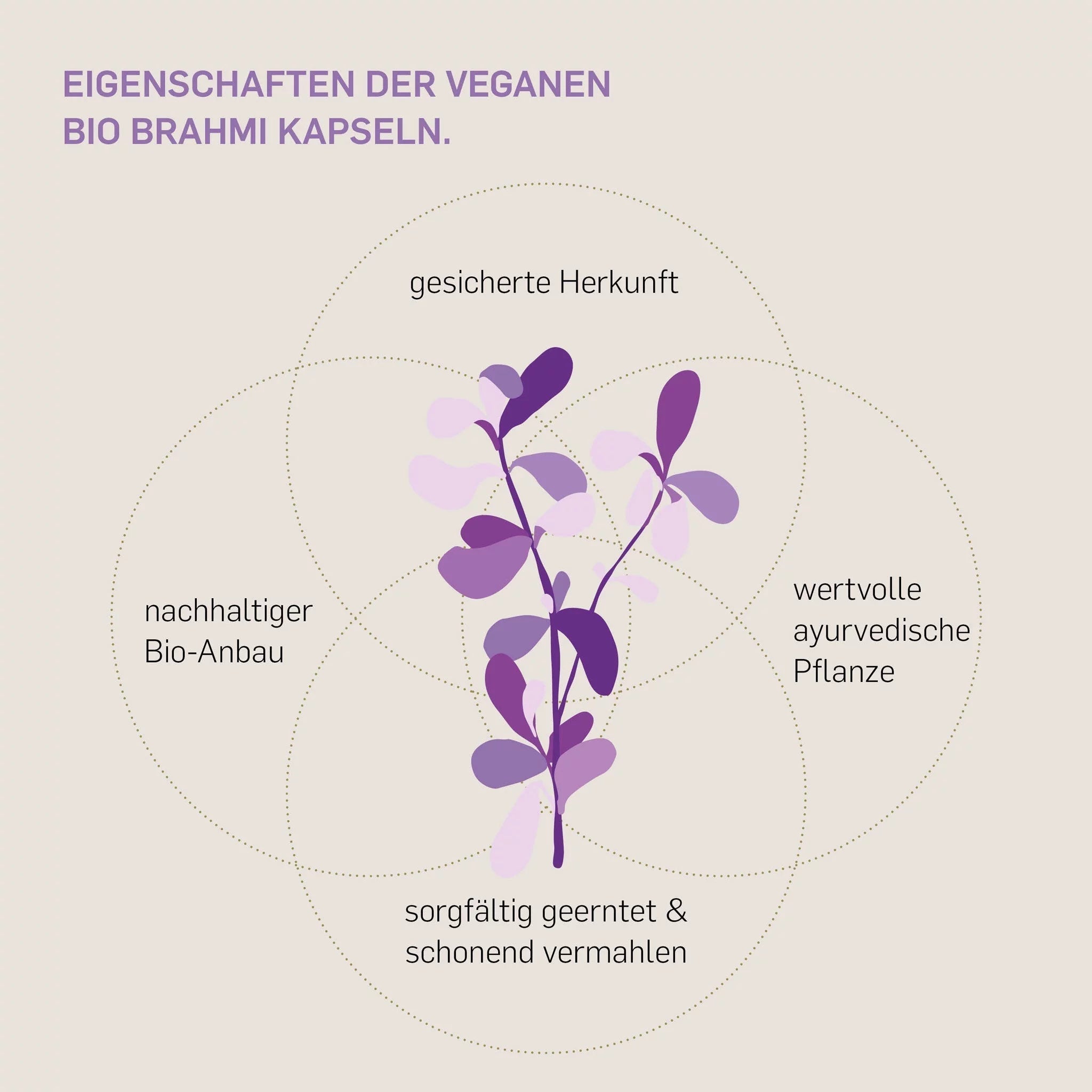 BIO BRAHMI - Kurkraft - BIO BRAHMI - Kurkraft