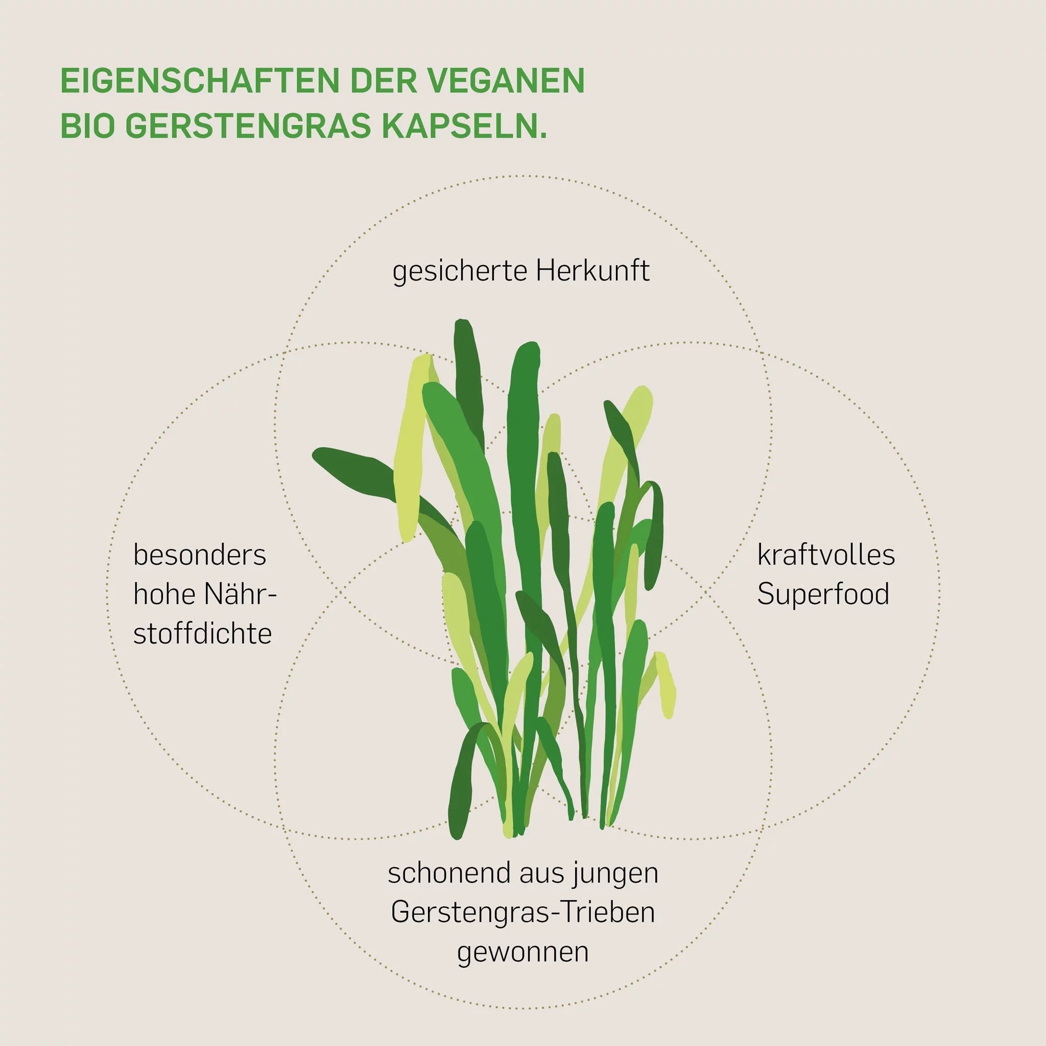 BIO GERSTENGRAS - Kurkraft - BIO GERSTENGRAS - Kurkraft