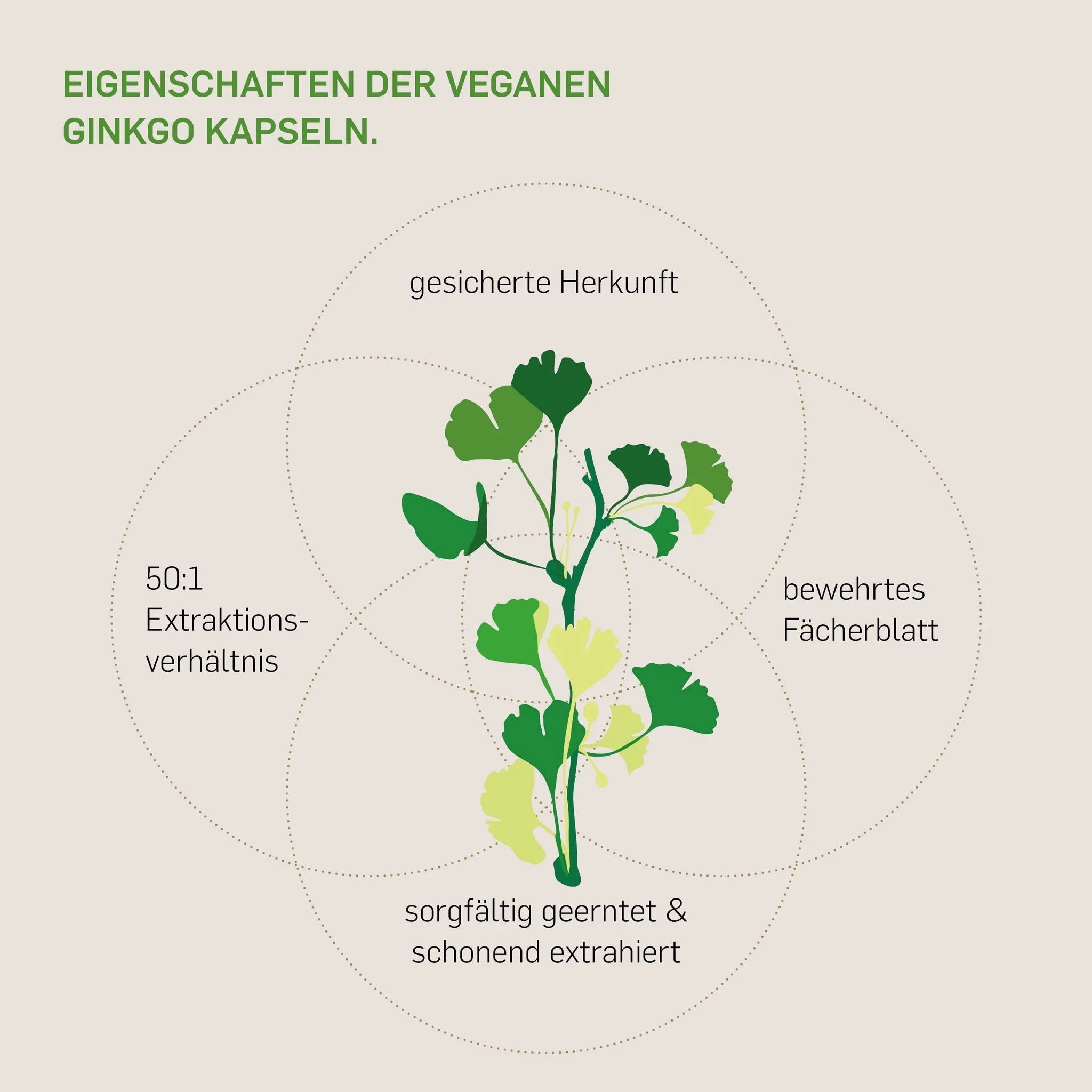 GINKGO BILOBA - Kurkraft - GINKGO BILOBA - Kurkraft