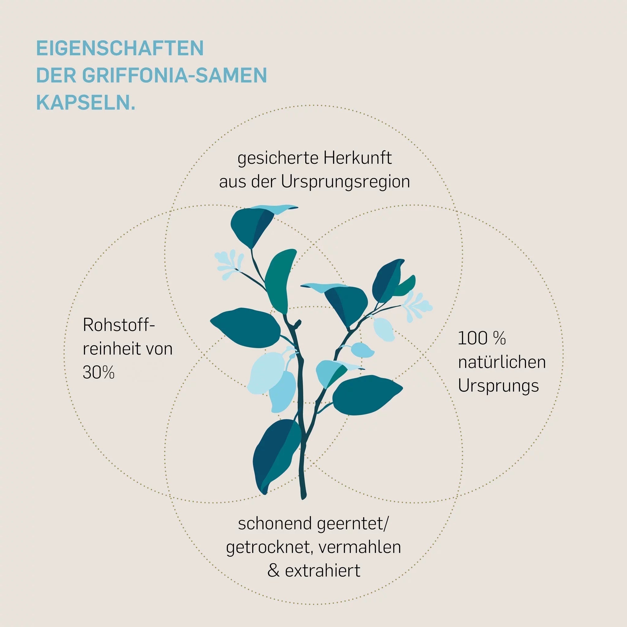 GRIFFONIA - Kurkraft - GRIFFONIA - Kurkraft
