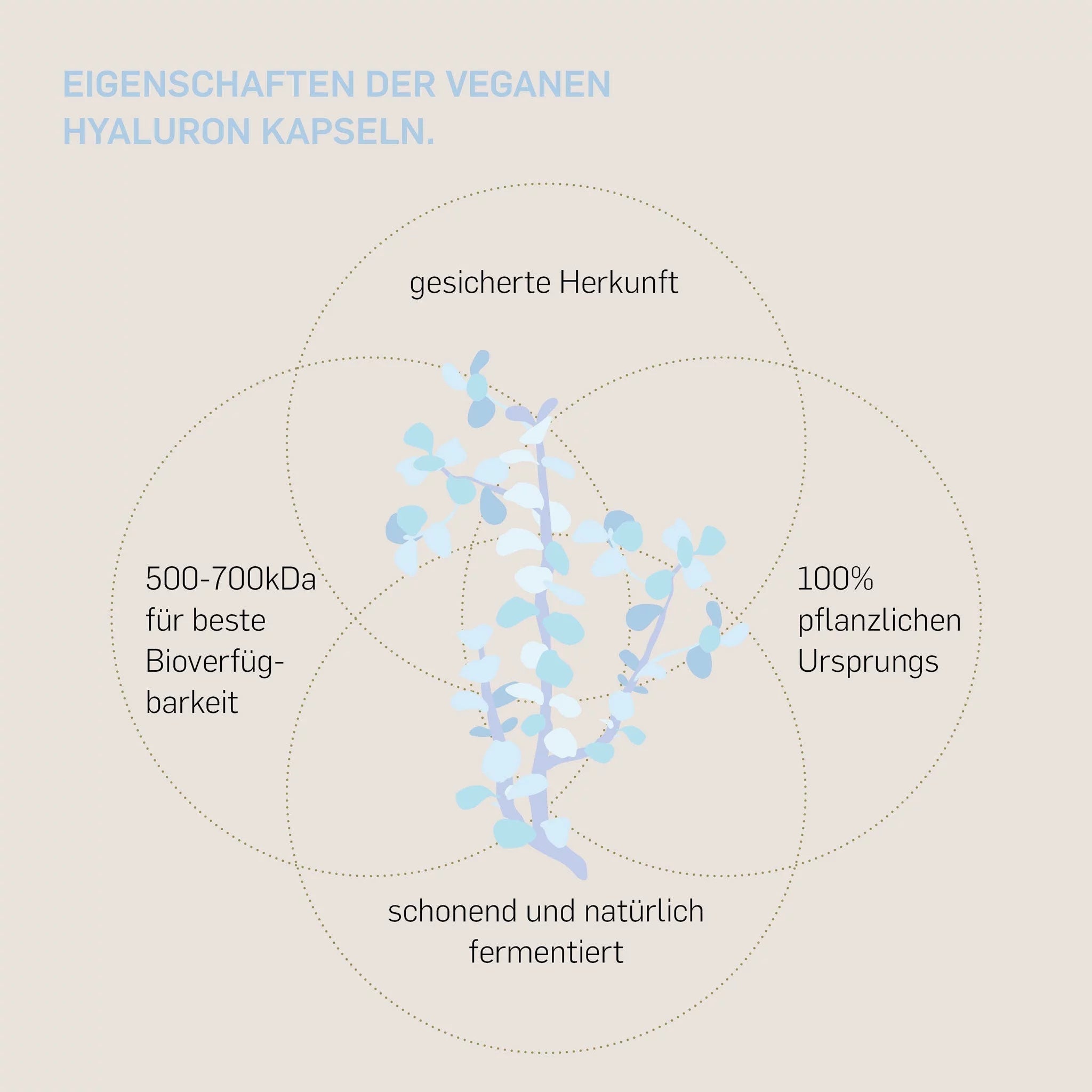 HYALURON - Kurkraft - HYALURON - Kurkraft