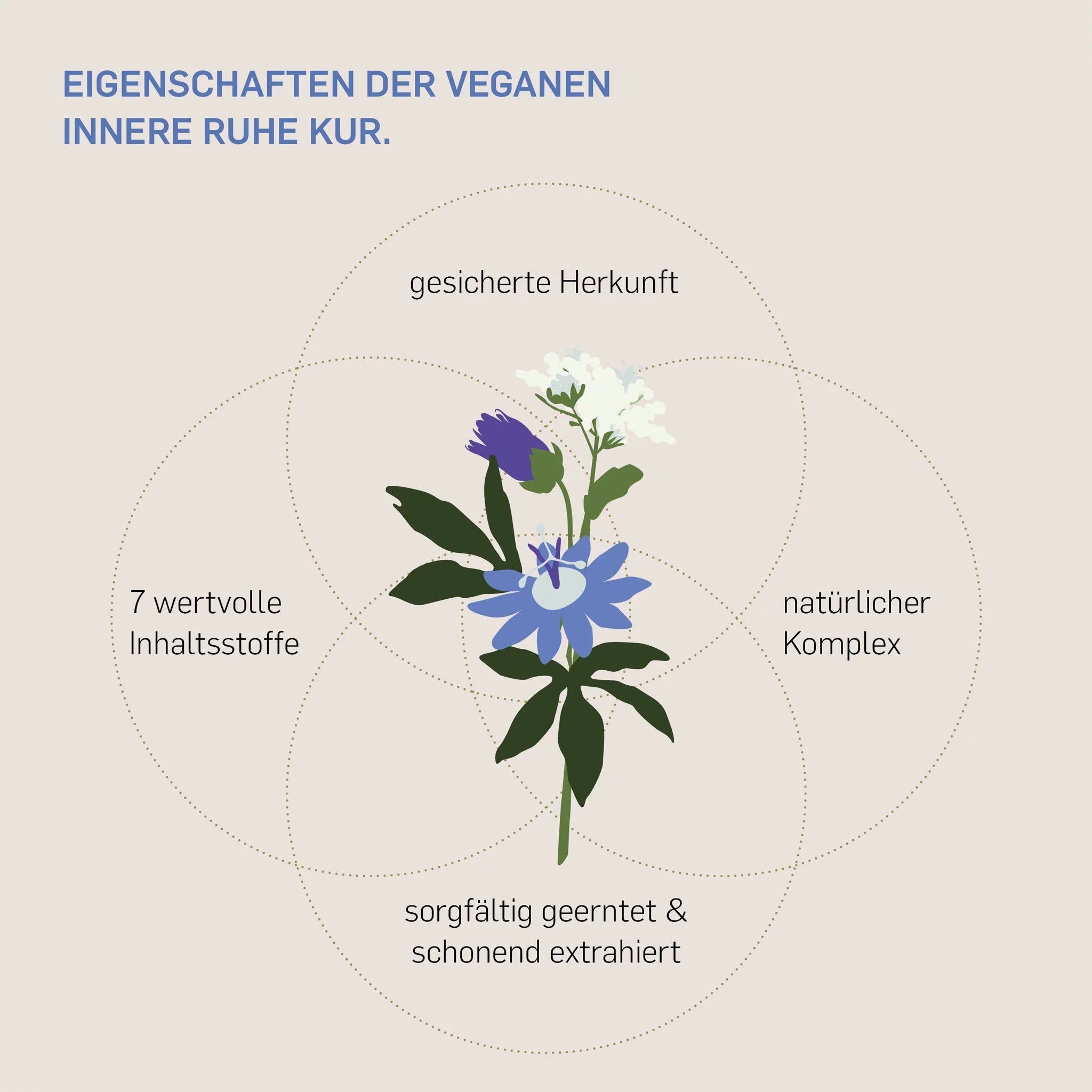 Eigenschaften Kurkraft Innere Ruhe – Baldrian, Passionsblume, Johanniskraut, Melisse, Hopfen, Lavendel