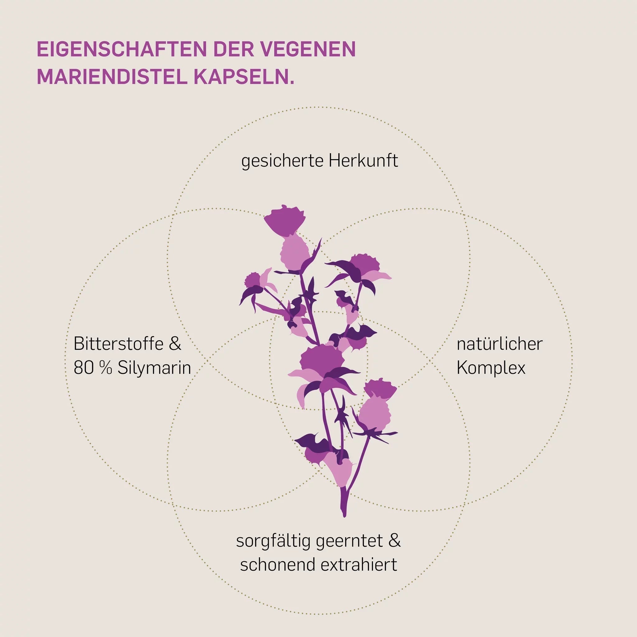 MARIENDISTEL KOMPLEX - Kurkraft - MARIENDISTEL KOMPLEX - Kurkraft