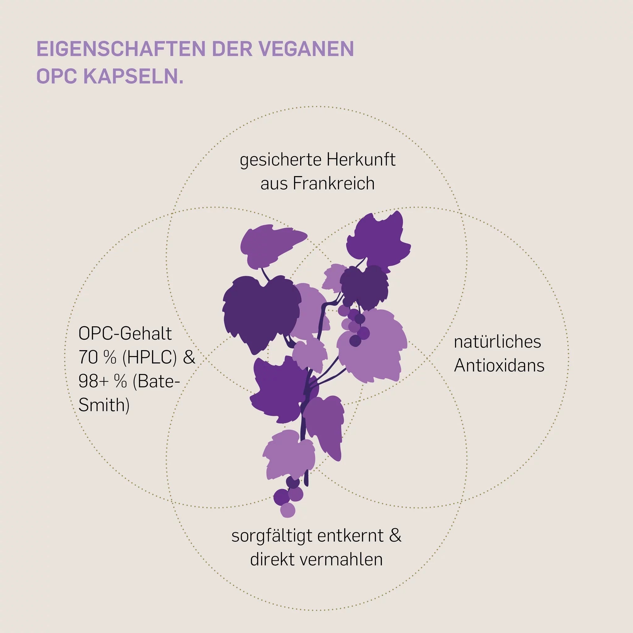 OPC - Kurkraft - OPC - Kurkraft