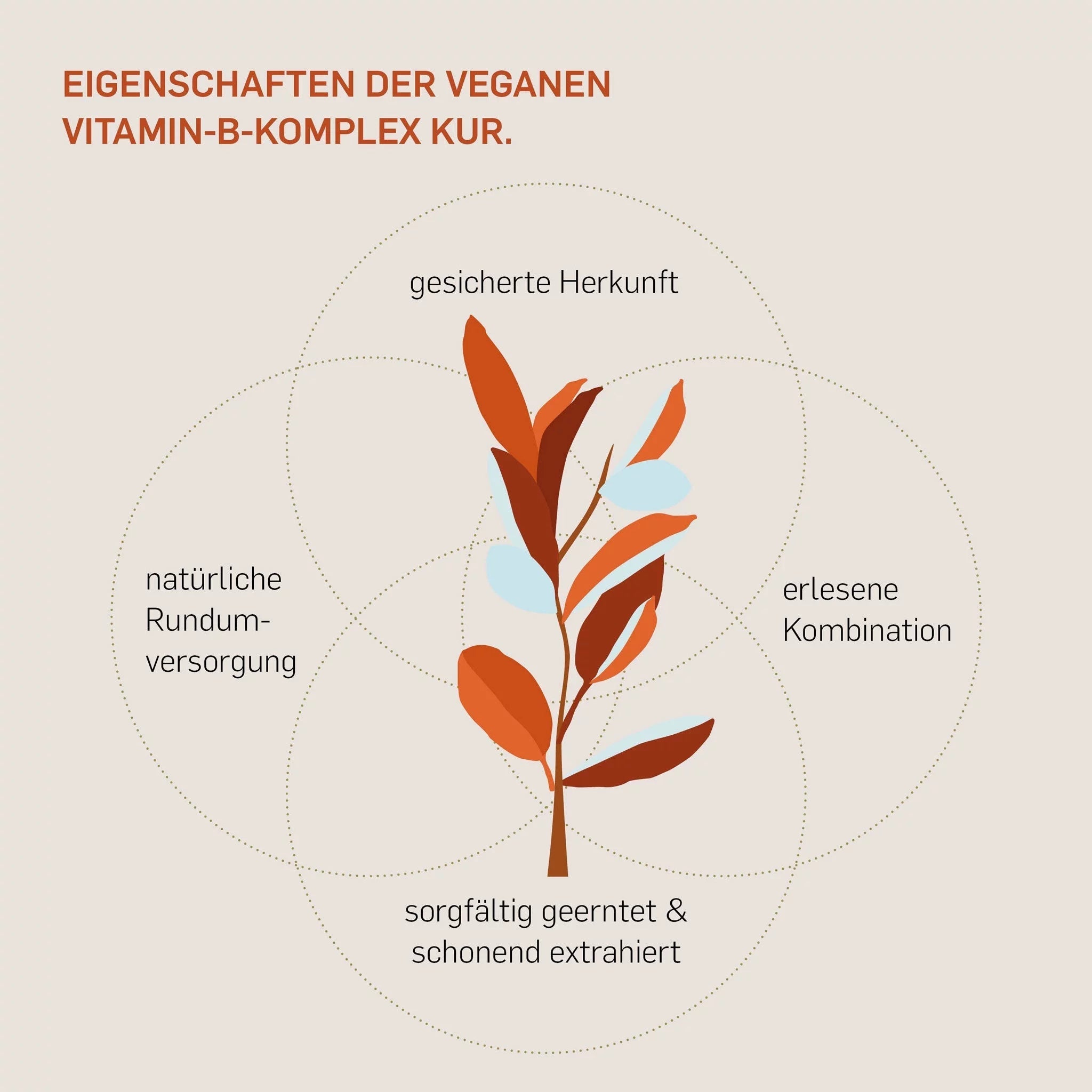 VITAMIN B KOMPLEX - Kurkraft - VITAMIN-B-KOMPLEX - Kurkraft