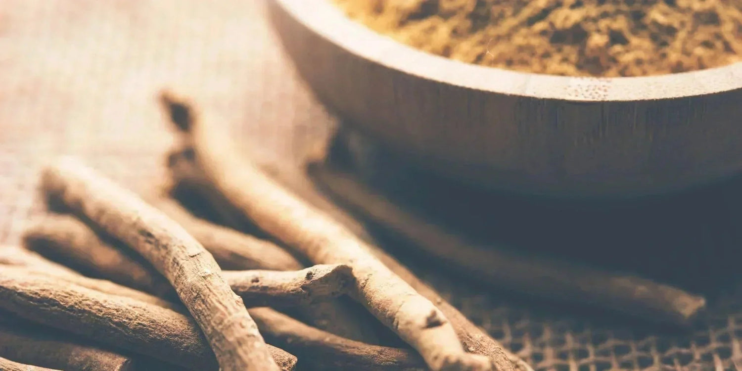 Ashwagandha: Eine faszinierende Pflanze aus der traditionellen indischen Lehre - Kurkraft