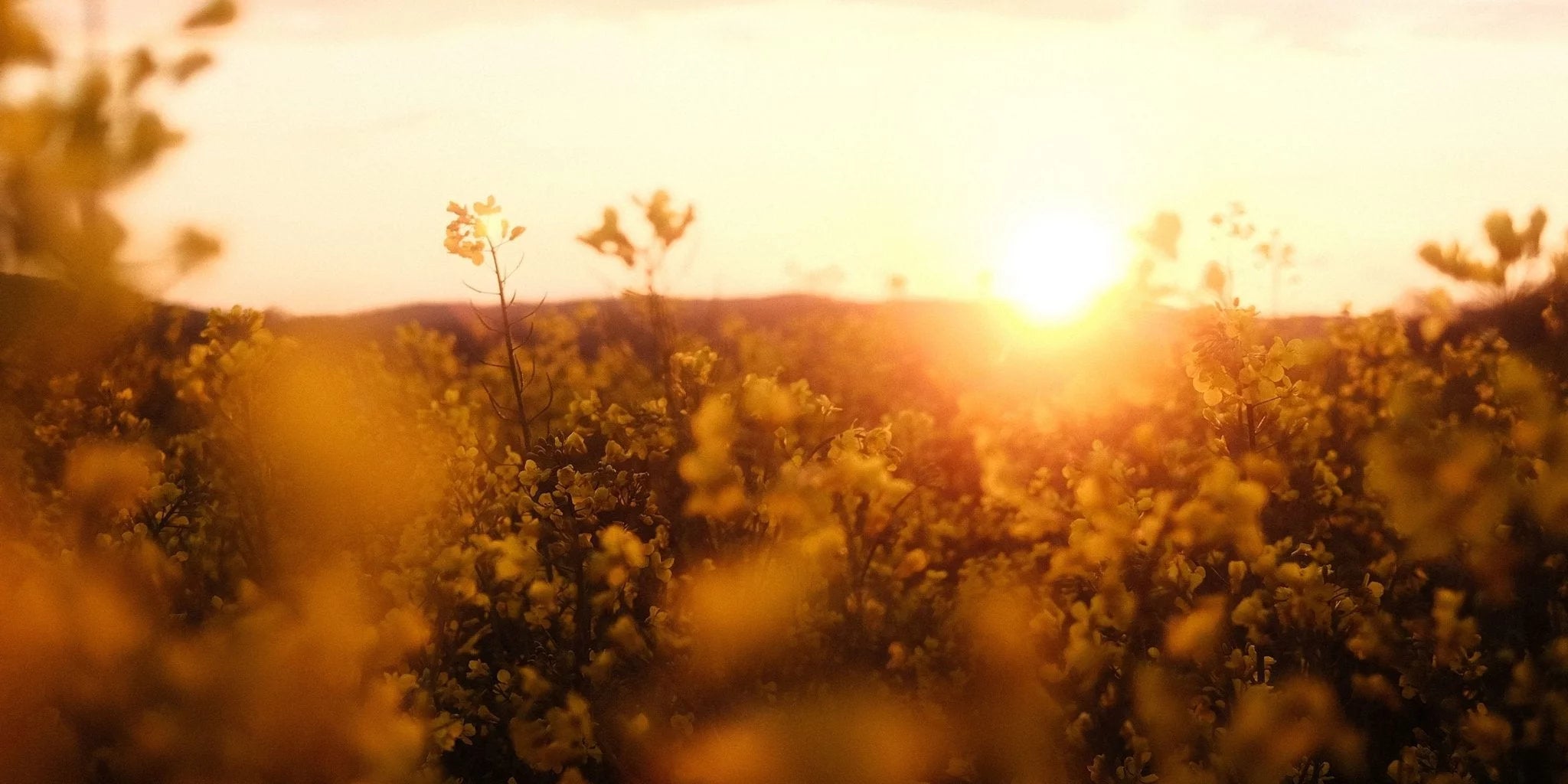 Vitamin D3 – Wichtiges Hormon vor allem im Winter. - Kurkraft