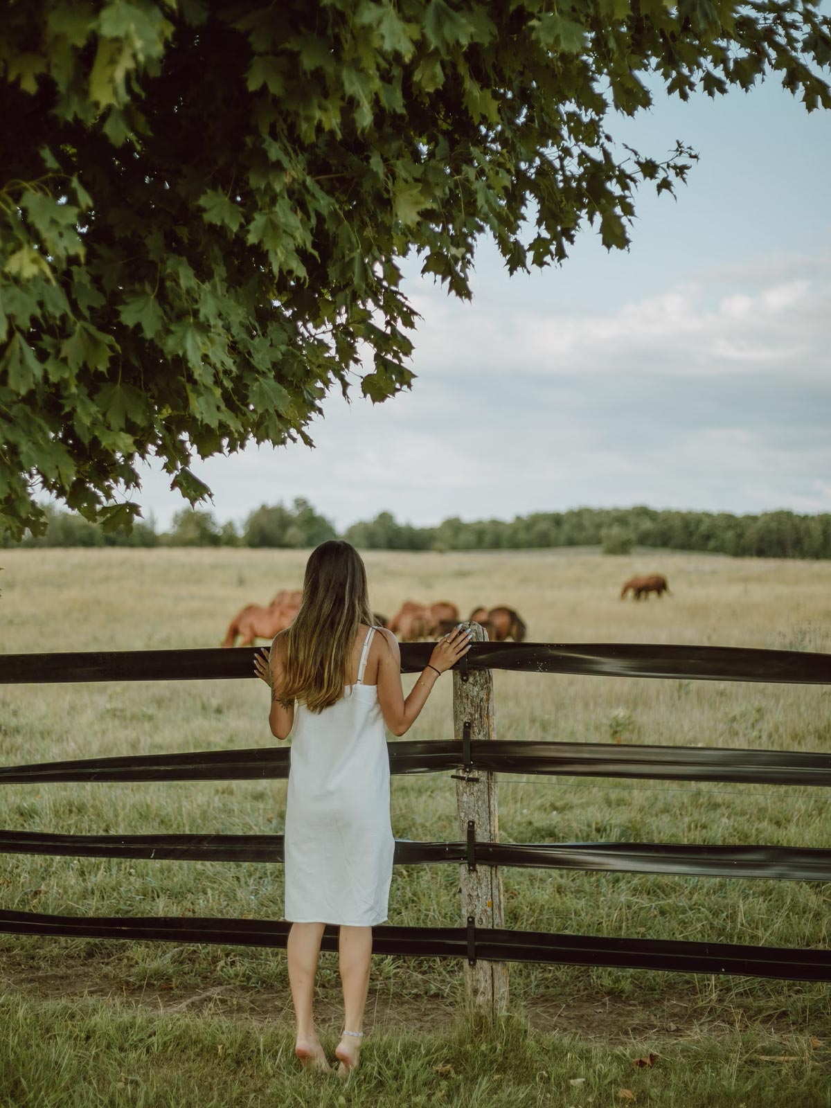 Ausgeglichene Frau steht im Sommer an einer Pferdeweide