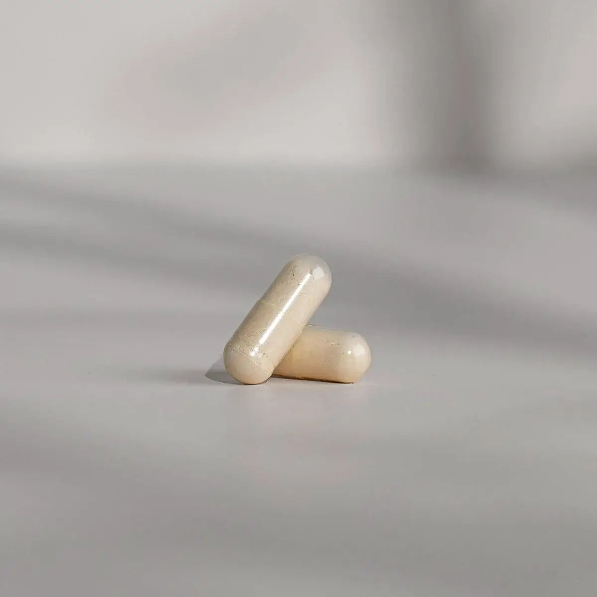 Drei Kapseln neben der geöffneten Kapseldose – Tagesdosis von 1.500 mg Wurzelpulver