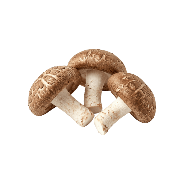 641 g Shiitake