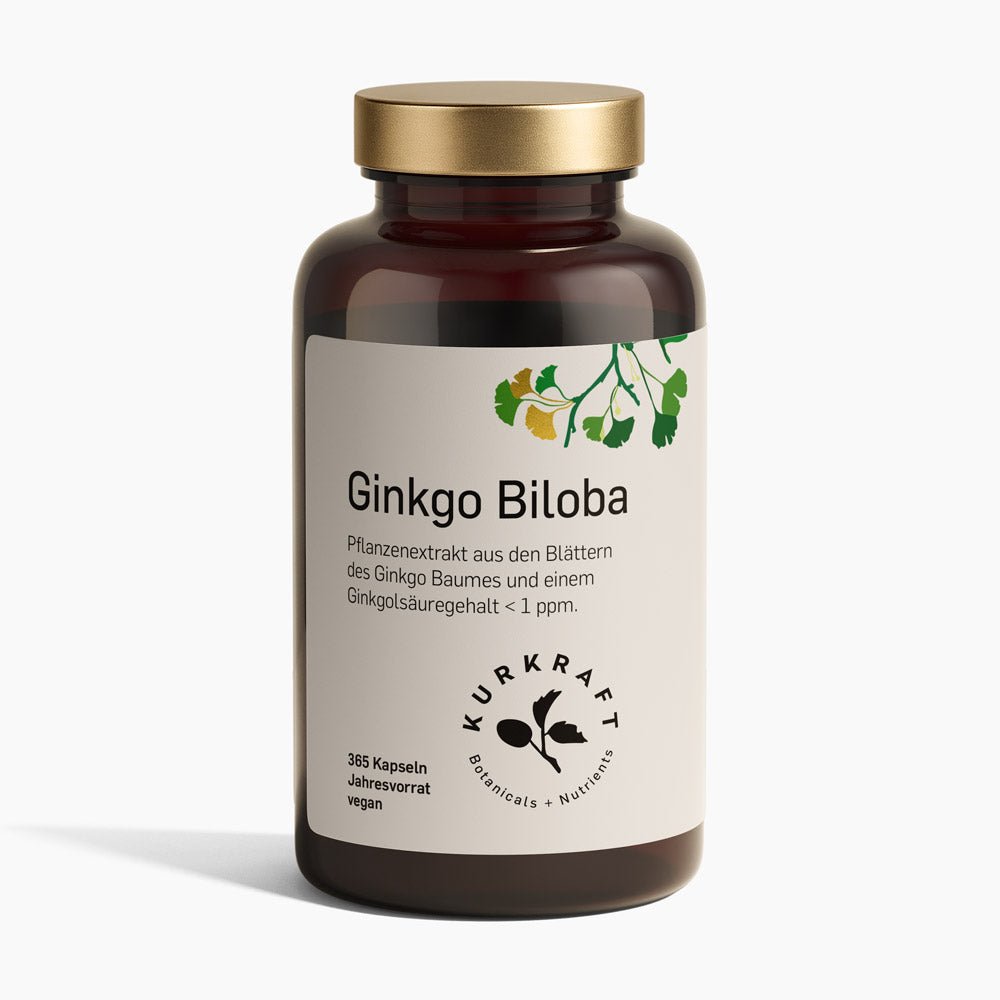 GINKGO BILOBA - Kurkraft - GINKGO BILOBA