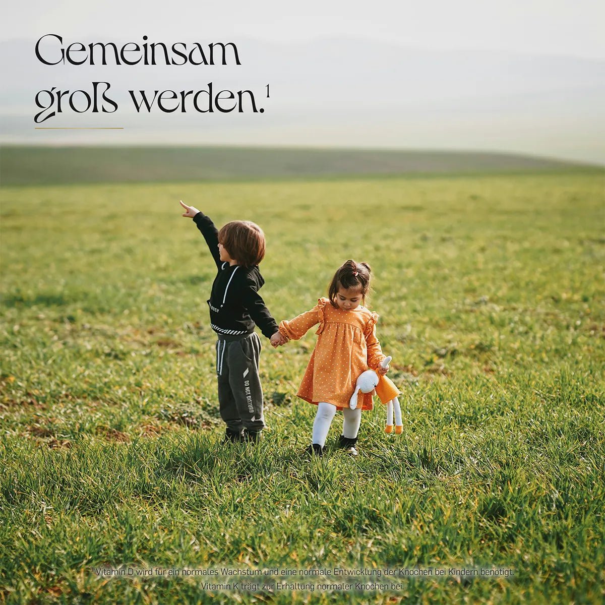Gemeinsam groß werden – zwei Kinder halten sich an den Händen auf einer grünen Wiese, der Junge zeigt zum Himmel, das Mädchen trägt einen Stoffhasen.