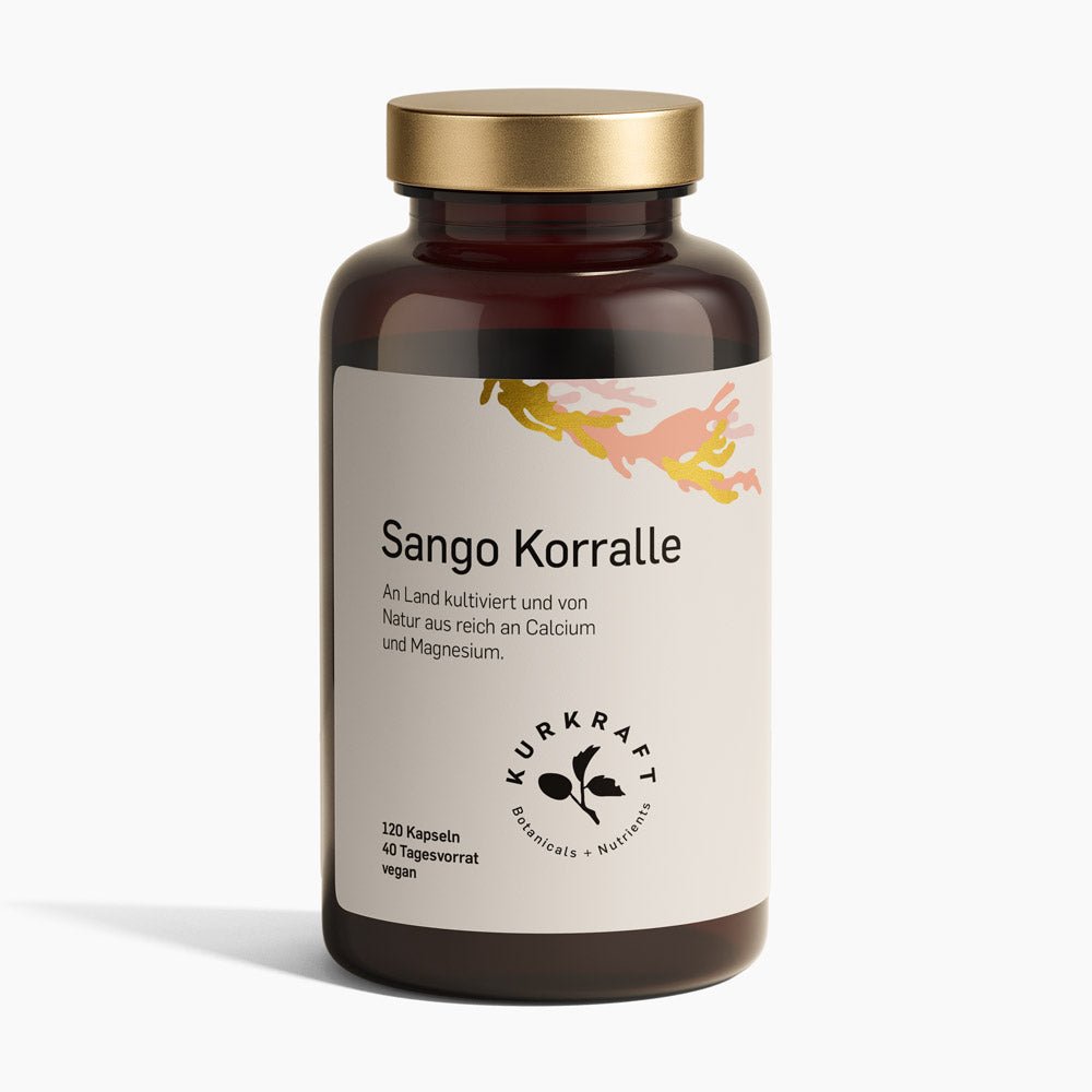 SANGO KORALLE - Kurkraft - SANGO KORALLE