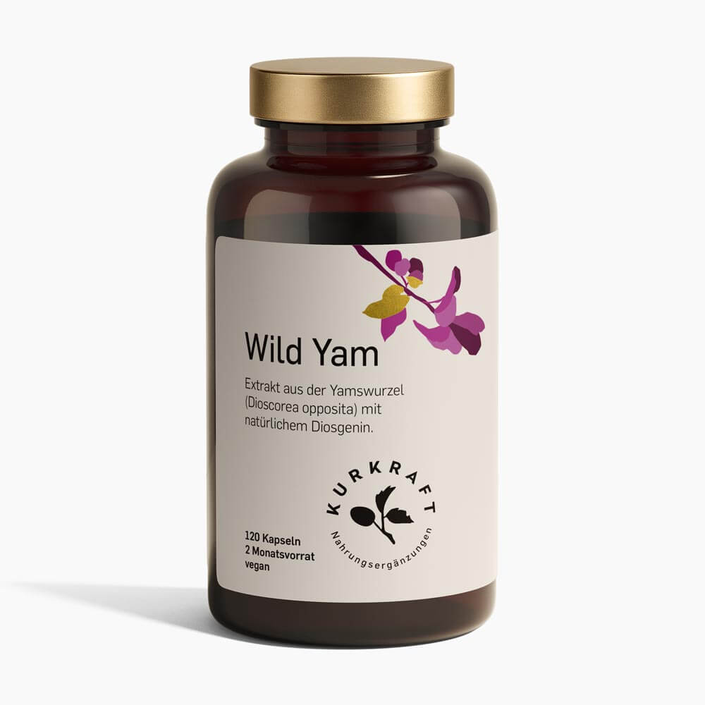 WILD YAM - Kurkraft - WILD YAM